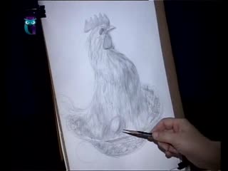 14. natalya druzhinkina. drawing lessons. pencil drawing lessons. we draw the hen - the mother-hen hatching eggs.