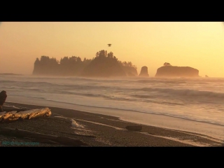 13. living landscapes. pacific coast.