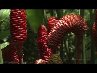 8. living landscapes. the most beautiful corners of the earth.