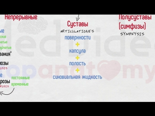 11. general arthrology.